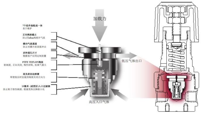 CONCOA˾pCapsuleg